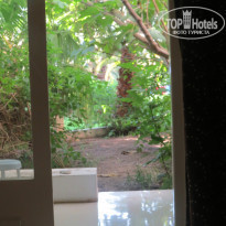 фото из отзыва ID 822613