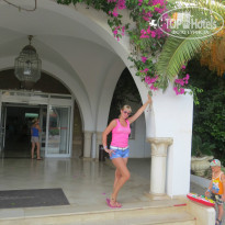 фото из отзыва ID 822613