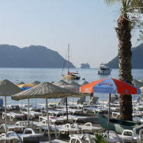 фото из отзыва ID 822936