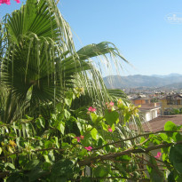 фото из отзыва ID 822983