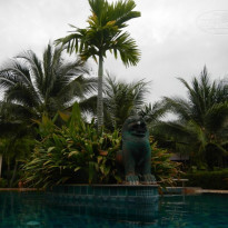 фото из отзыва ID 822428