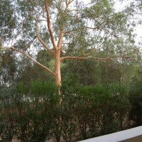 фото из отзыва ID 823113