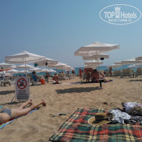 фото из отзыва ID 823336