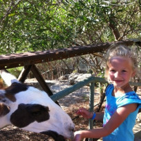 фото из отзыва ID 823536