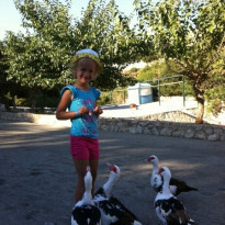 фото из отзыва ID 823536