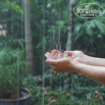 фото из отзыва ID 823584