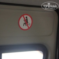 фото из отзыва ID 823584