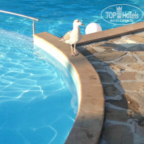 фото из отзыва ID 823740