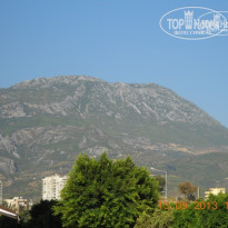 фото из отзыва ID 823811