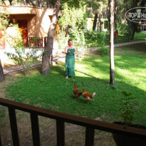 фото из отзыва ID 823669