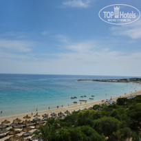 фото из отзыва ID 823114