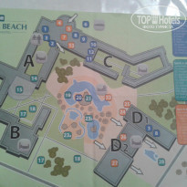 фото из отзыва ID 823623