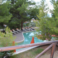 фото из отзыва ID 824058