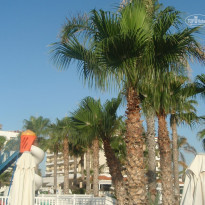 фото из отзыва ID 824106