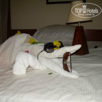 фото из отзыва ID 824154