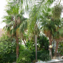 фото из отзыва ID 824702