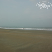 фото из отзыва ID 82464