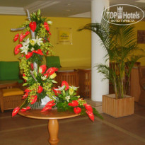 фото из отзыва ID 82464