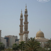 фото из отзыва ID 825100