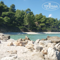 фото из отзыва ID 825184