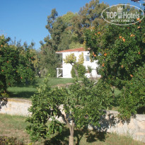 фото из отзыва ID 825184