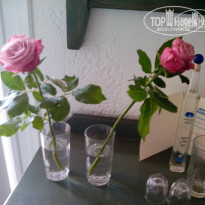 фото из отзыва ID 825217