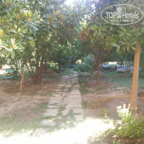 фото из отзыва ID 825341