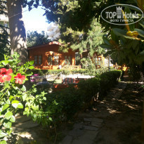 фото из отзыва ID 825341