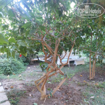 фото из отзыва ID 825341