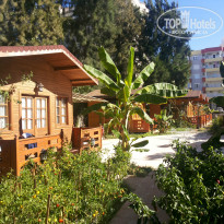 фото из отзыва ID 825341