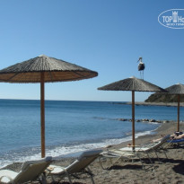 фото из отзыва ID 825872