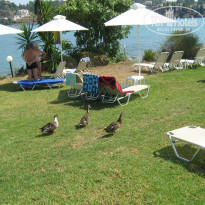 фото из отзыва ID 825912