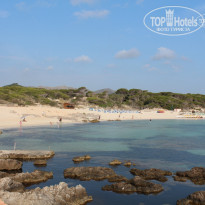 фото из отзыва ID 825966