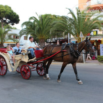 фото из отзыва ID 825966