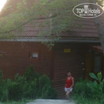 фото из отзыва ID 82550