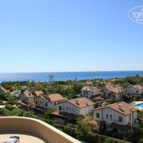 фото из отзыва ID 826115