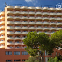 фото из отзыва ID 826193