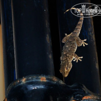 фото из отзыва ID 826193