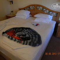 фото из отзыва ID 826348