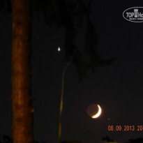 фото из отзыва ID 826348