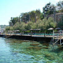 фото из отзыва ID 826456