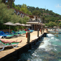 фото из отзыва ID 826456