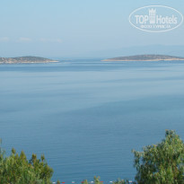 фото из отзыва ID 826456