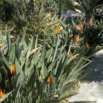 фото из отзыва ID 826556