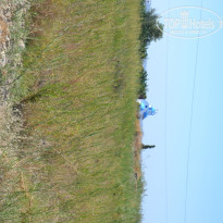 фото из отзыва ID 826880