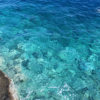 фото из отзыва ID 826911