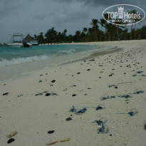 фото из отзыва ID 826368