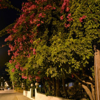 фото из отзыва ID 827110