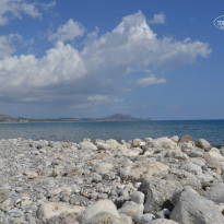 фото из отзыва ID 827110