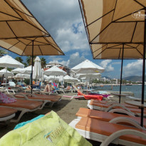 фото из отзыва ID 827128